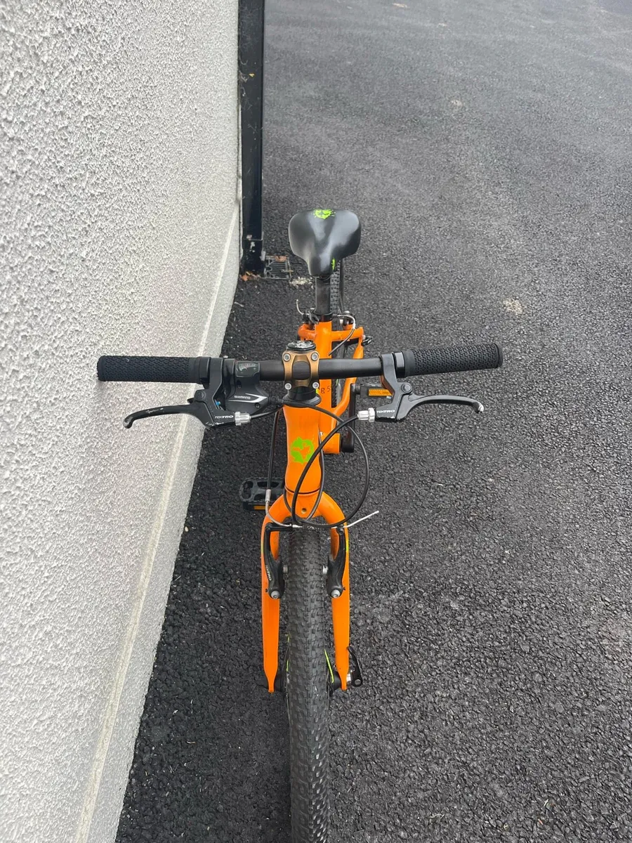 Frog 55 bike - Image 2