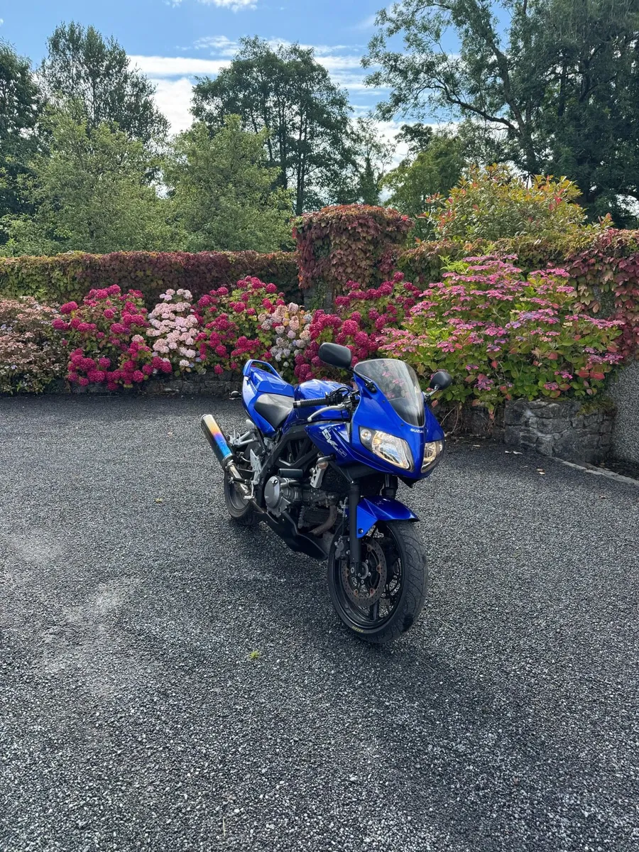 Suzuki sv650s - Image 3