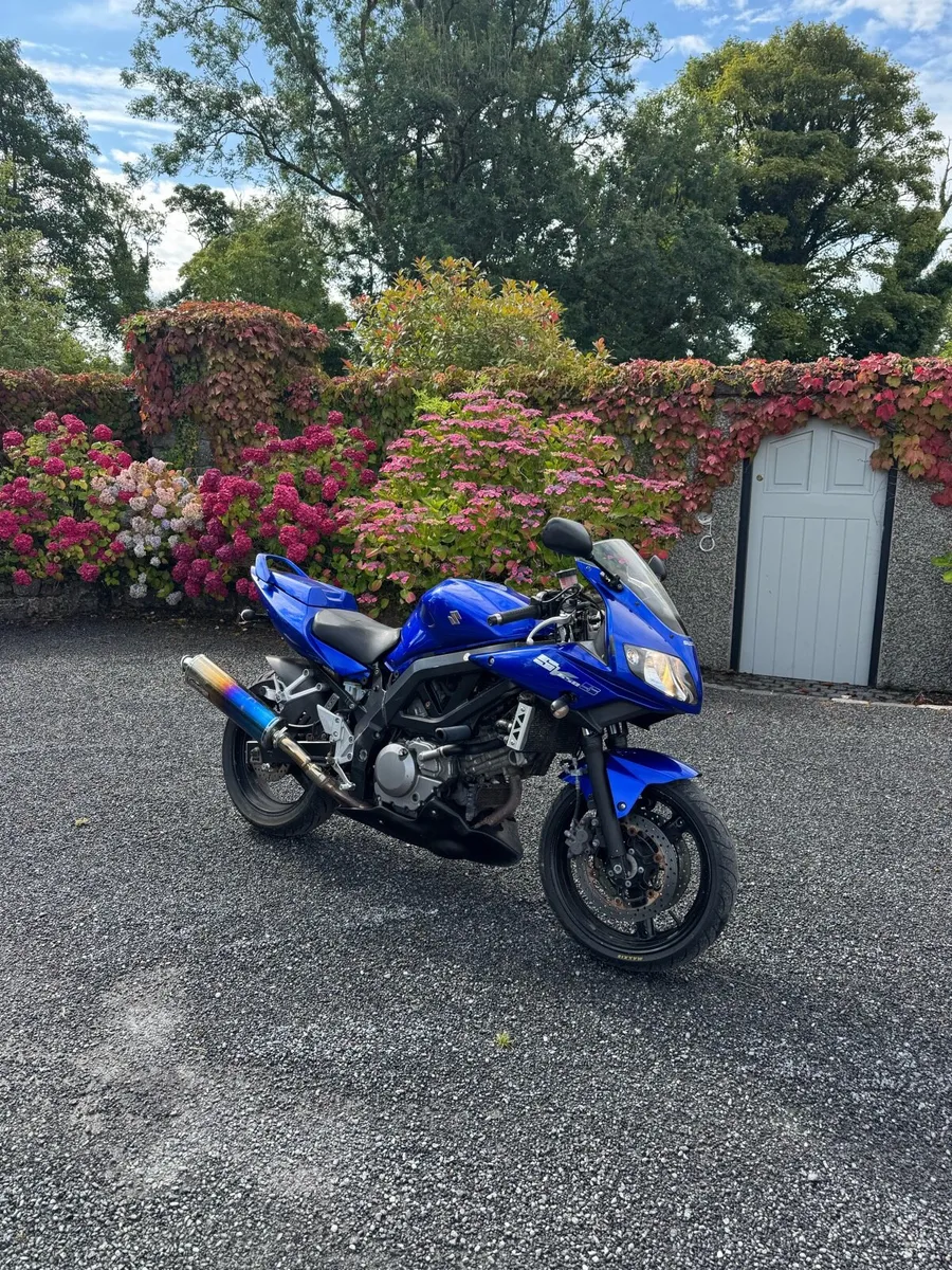 Suzuki sv650s - Image 4