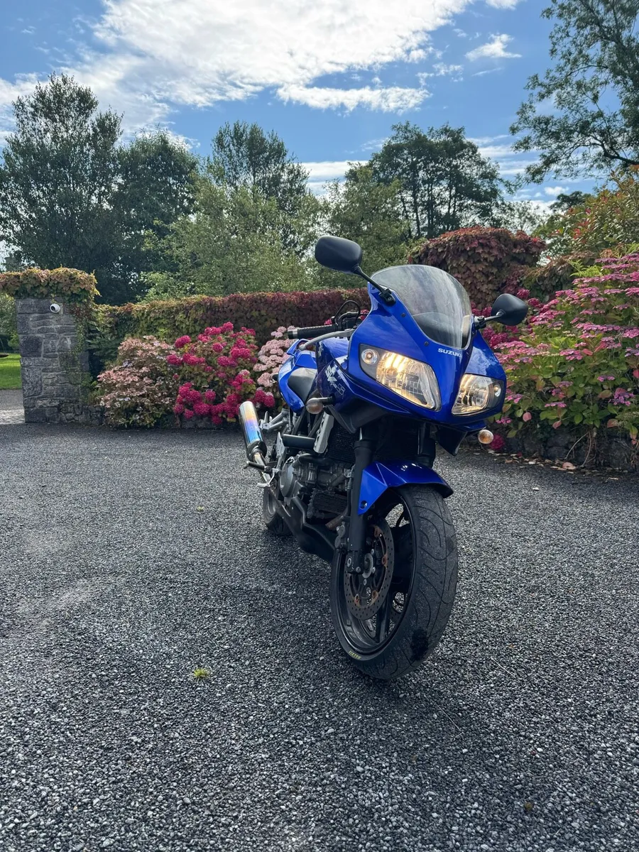 Suzuki sv650s - Image 2