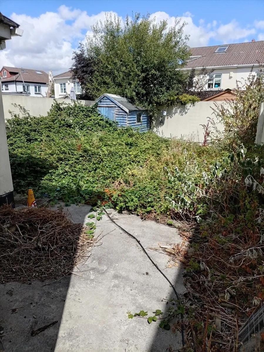 Rubbish removal - Image 2