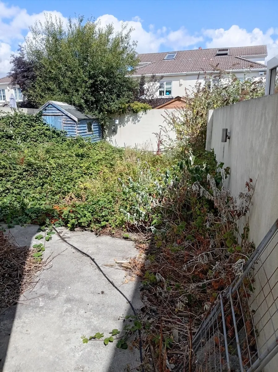 Rubbish removal - Image 3