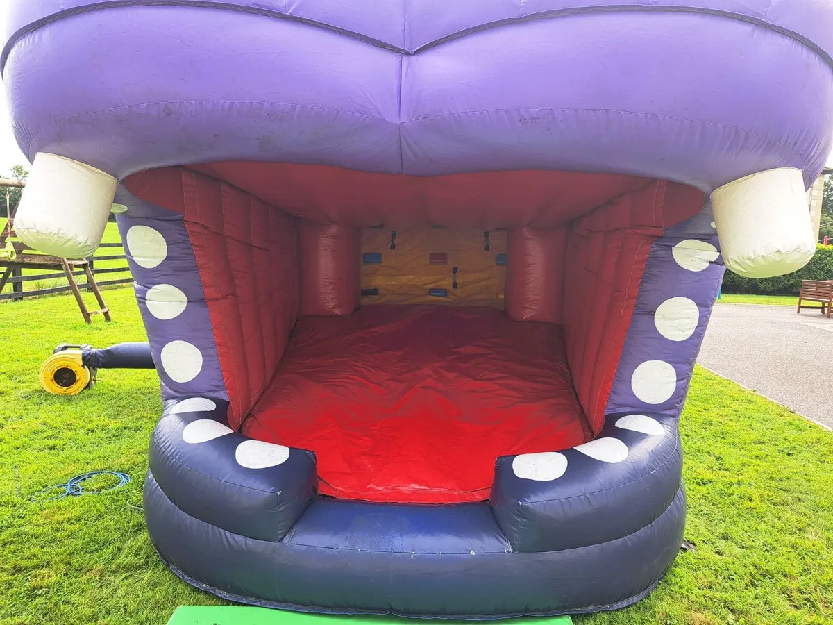 Bouncy Castle - Image 4