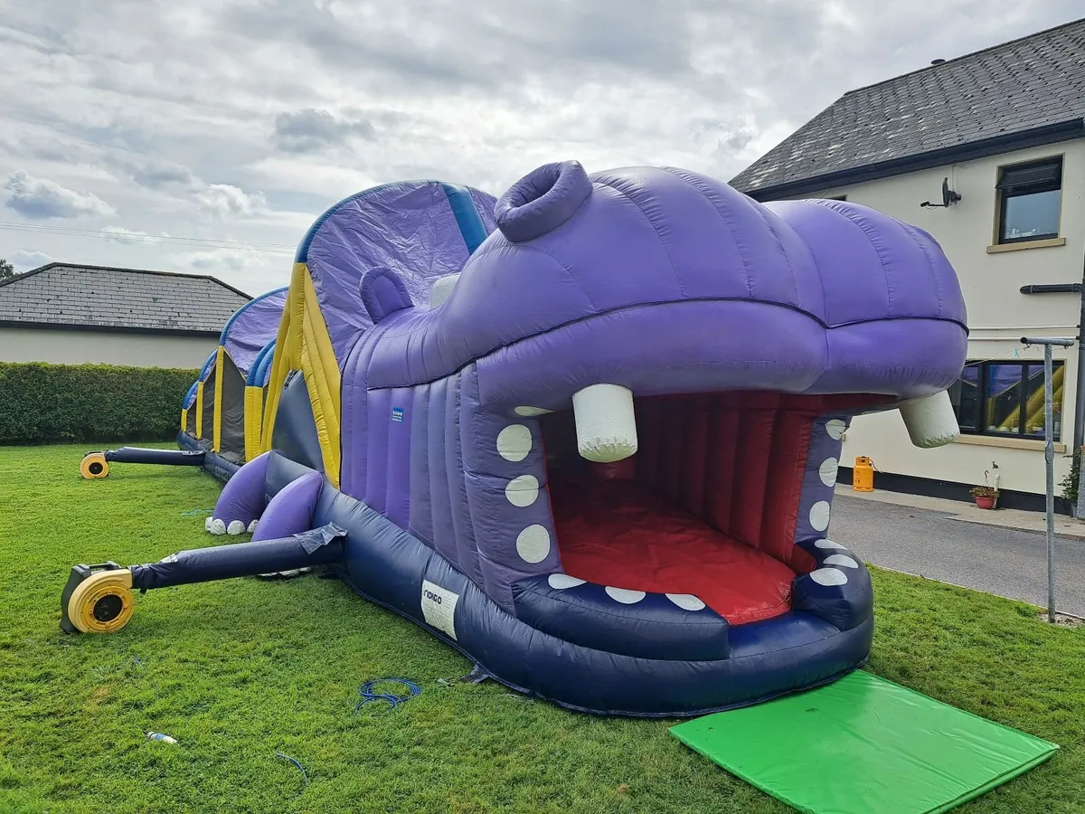 Bouncy Castle - Image 3