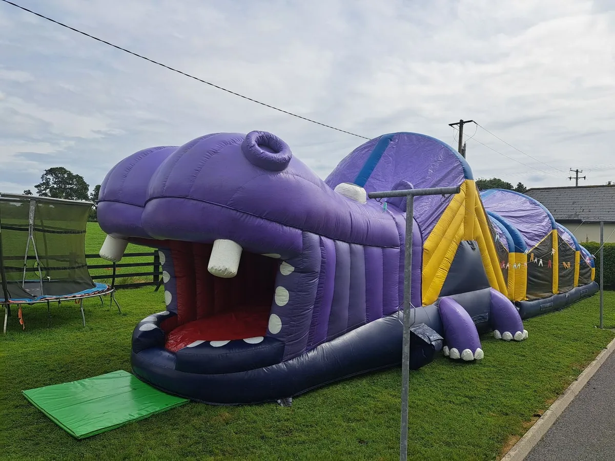 Bouncy Castle - Image 2