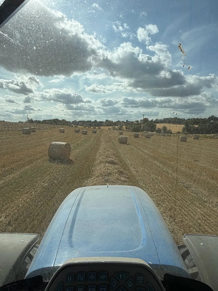 4x4 bales wheaten straw - Image 1