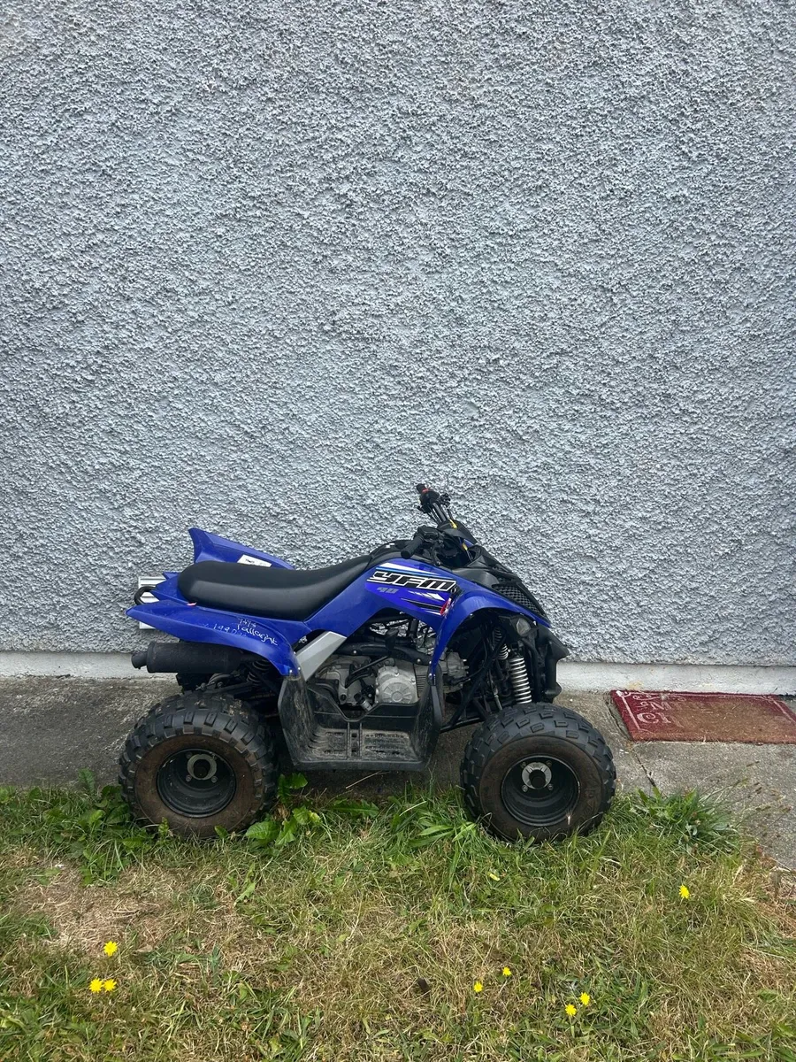 Yamaha yfm 90 (raptor) - Image 1
