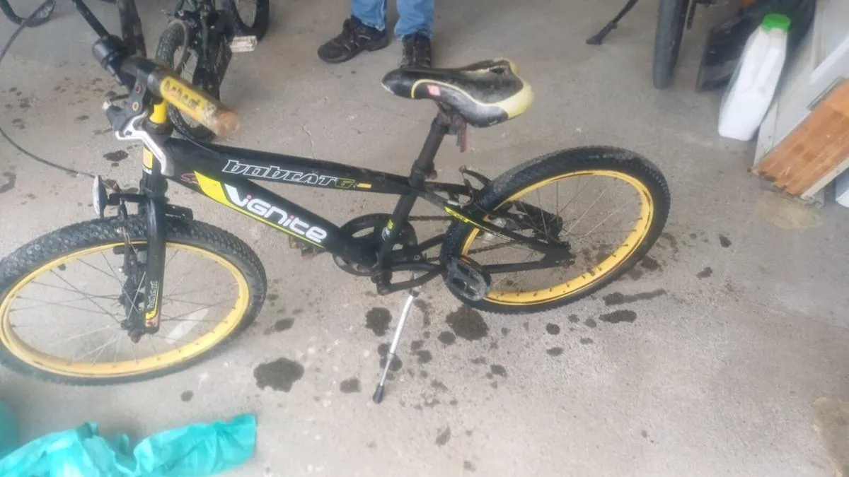 Bicycle - Image 4