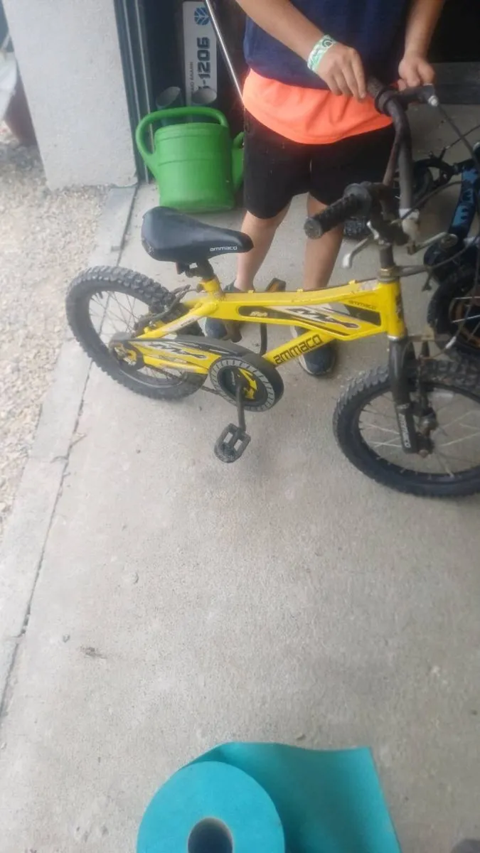 Bicycle - Image 1