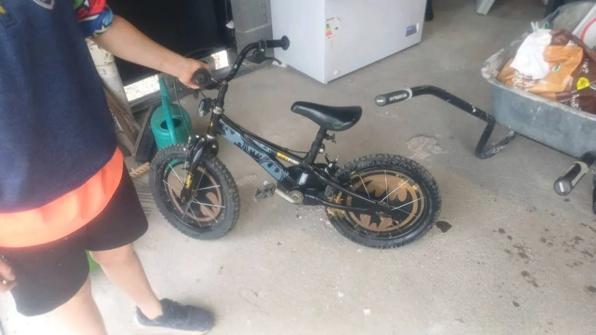 Bicycle - Image 2