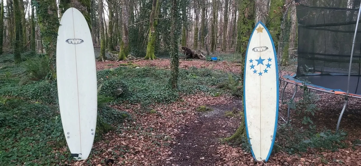 Surf Boards - Image 1