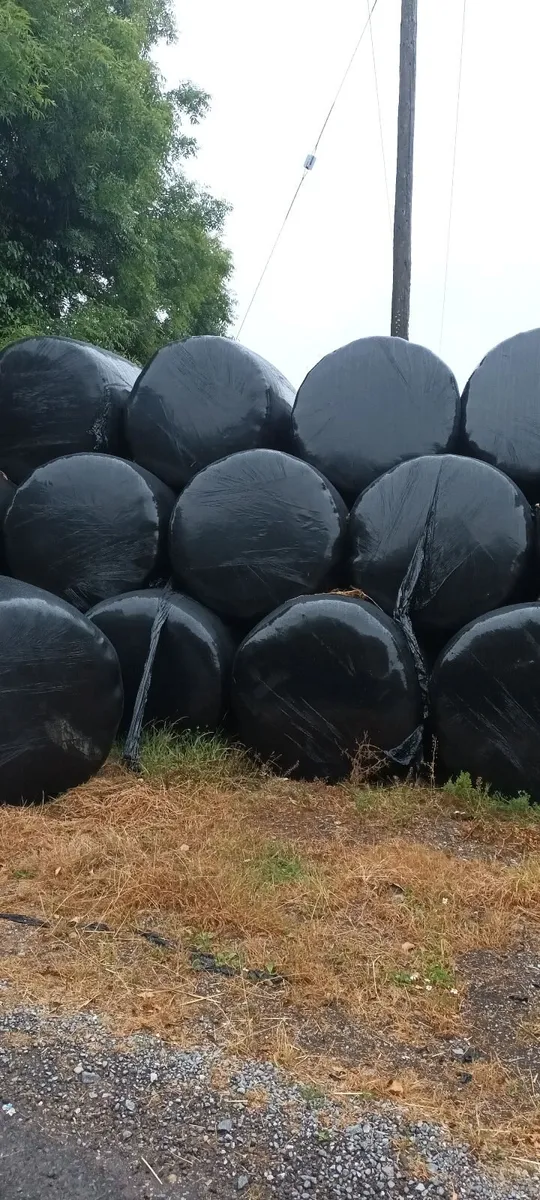Haylage for sale