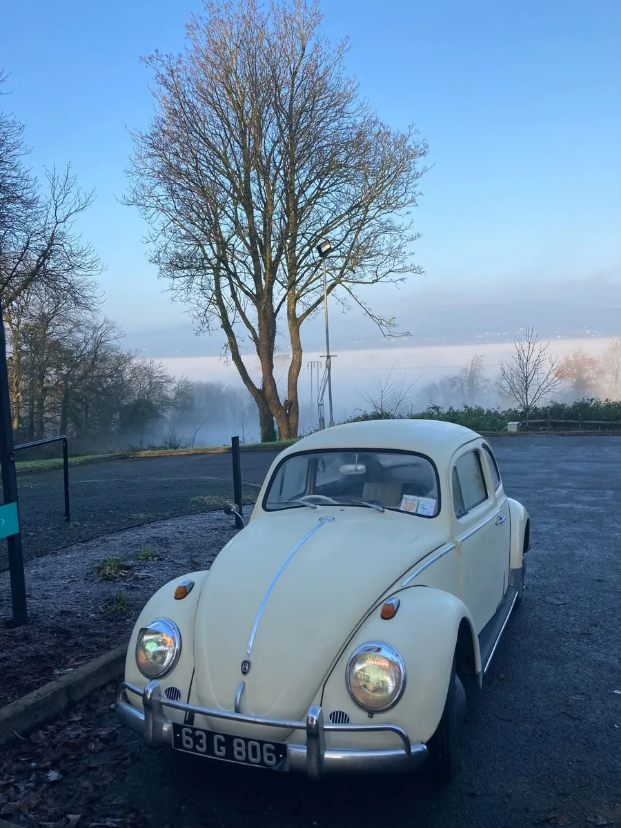 Volkswagen Beetle 1963 - Image 4