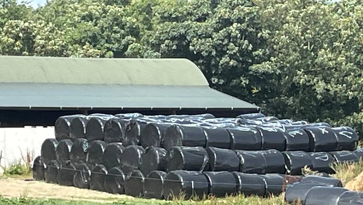 Premium Haylage for Sale – 250 Bales - Image 1
