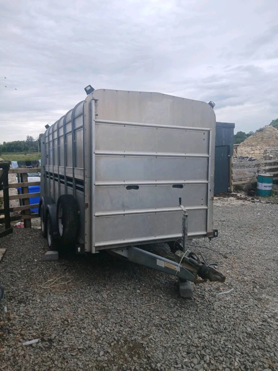 Iforwilliams 12by6 cattle trailercall 0868782672 - Image 1
