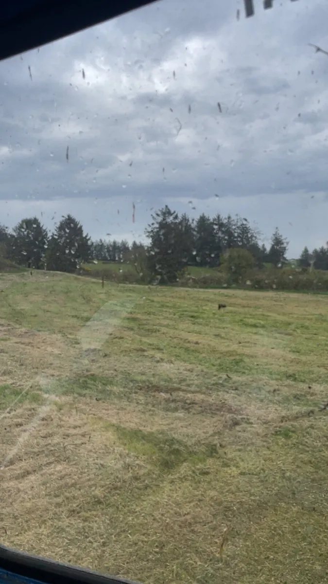 Mulching on hire - Image 4