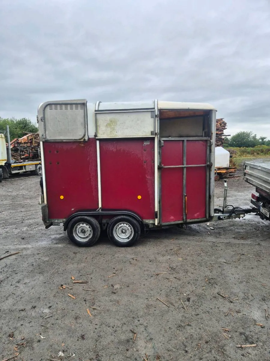 Ifor williams 505 horse box - Image 2