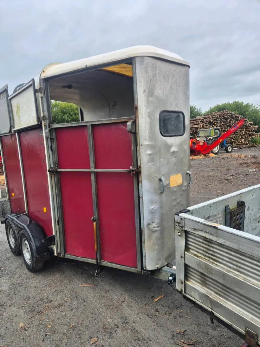 Ifor williams 505 horse box - Image 3
