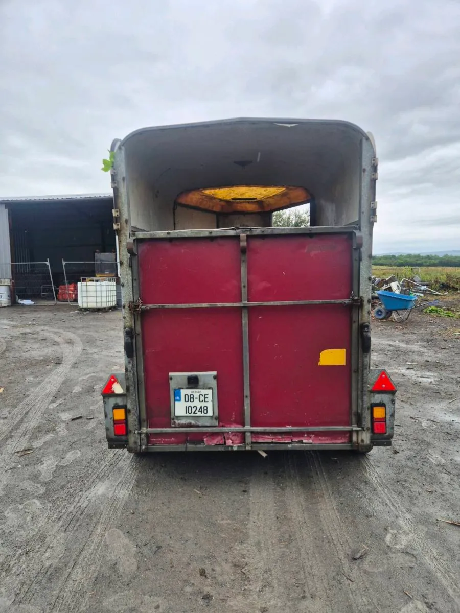 Ifor williams 505 horse box - Image 4