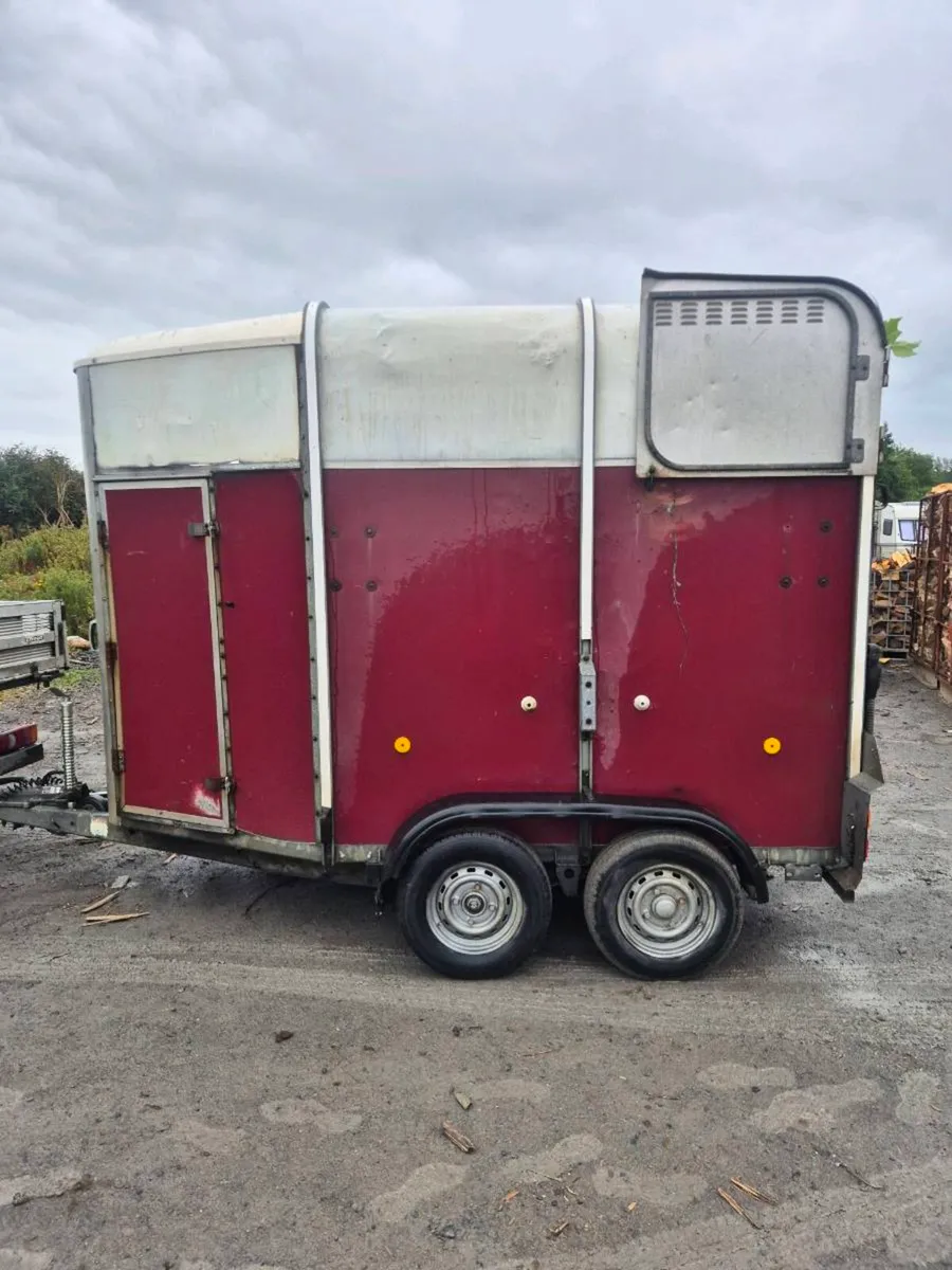 Ifor williams 505 horse box - Image 1