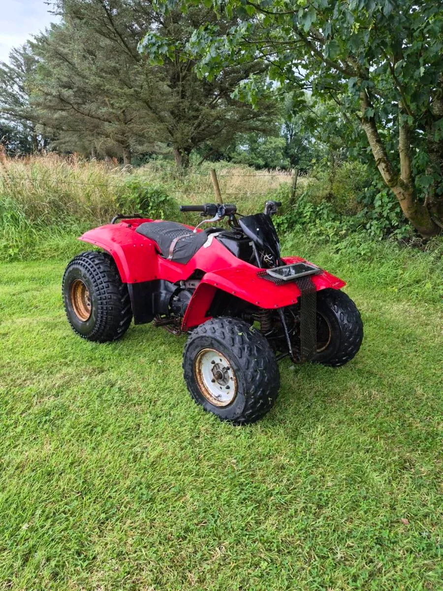 Kawasaki Klf 250 - Image 1