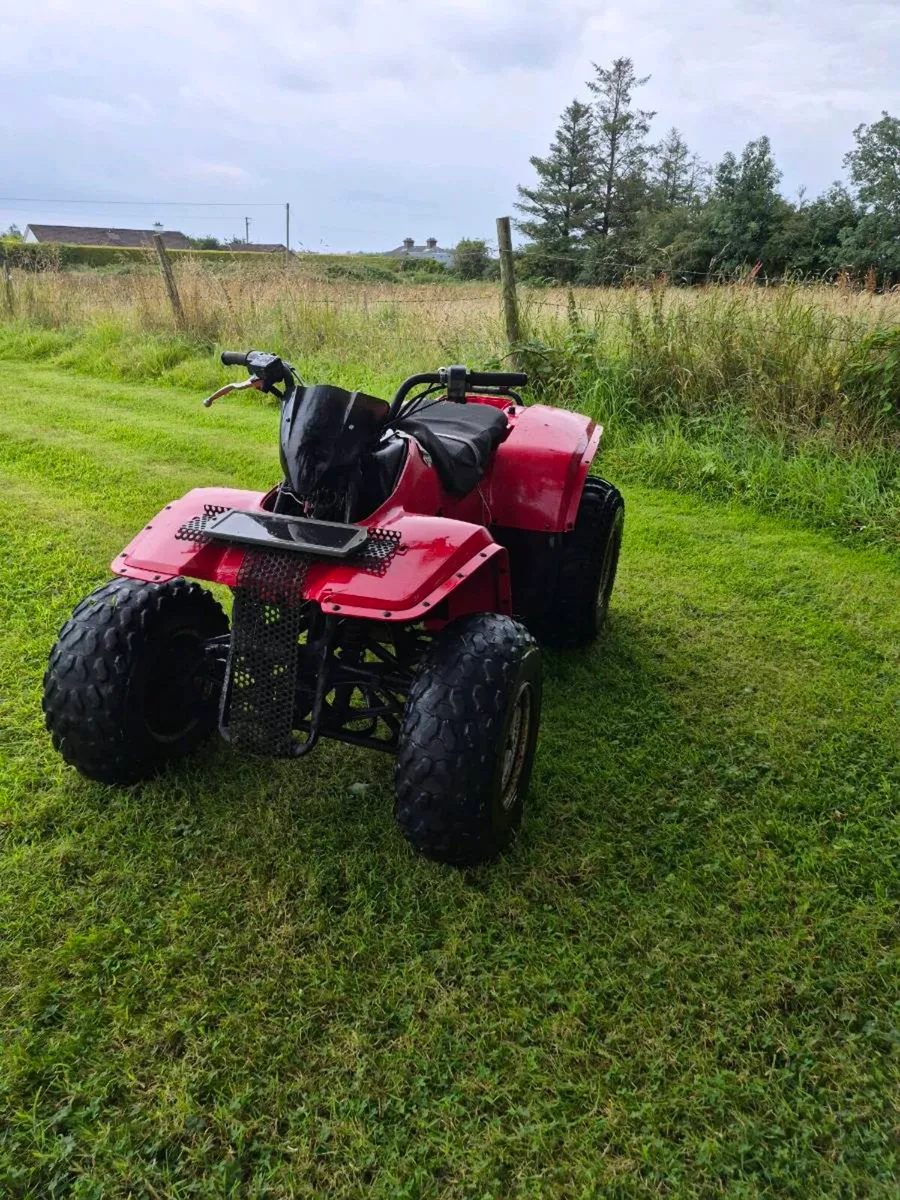 Kawasaki Klf 250 - Image 2