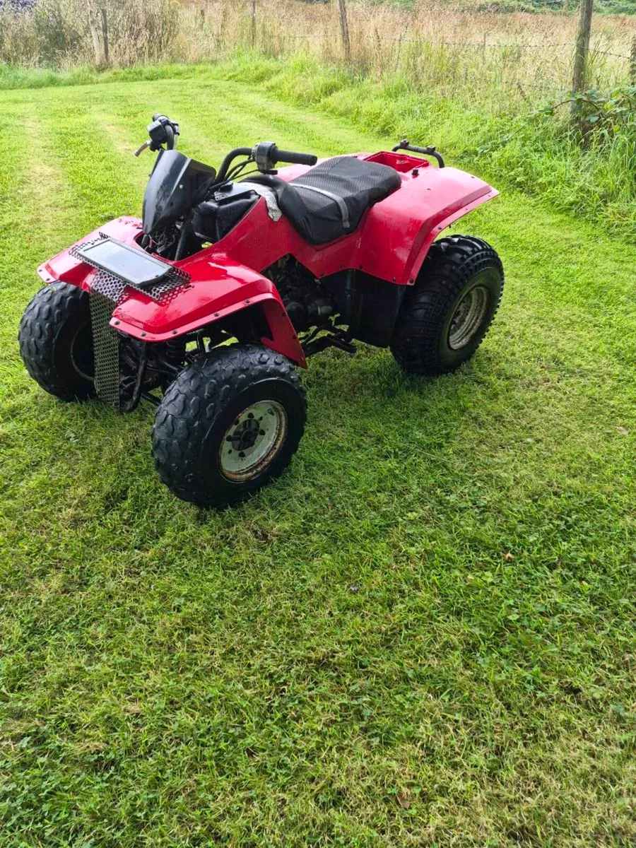 Kawasaki Klf 250 - Image 3