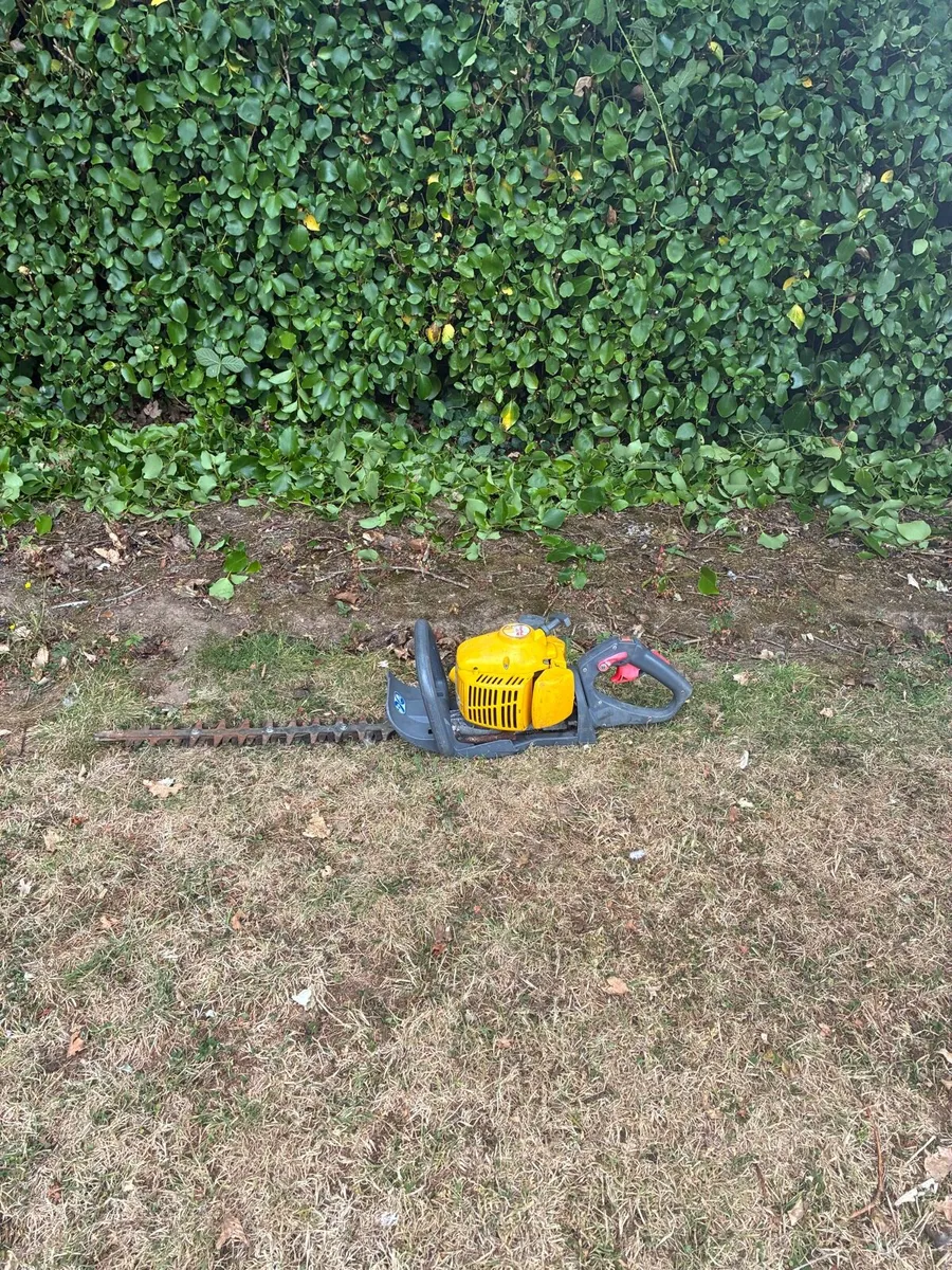 Hedge cutter - Image 1