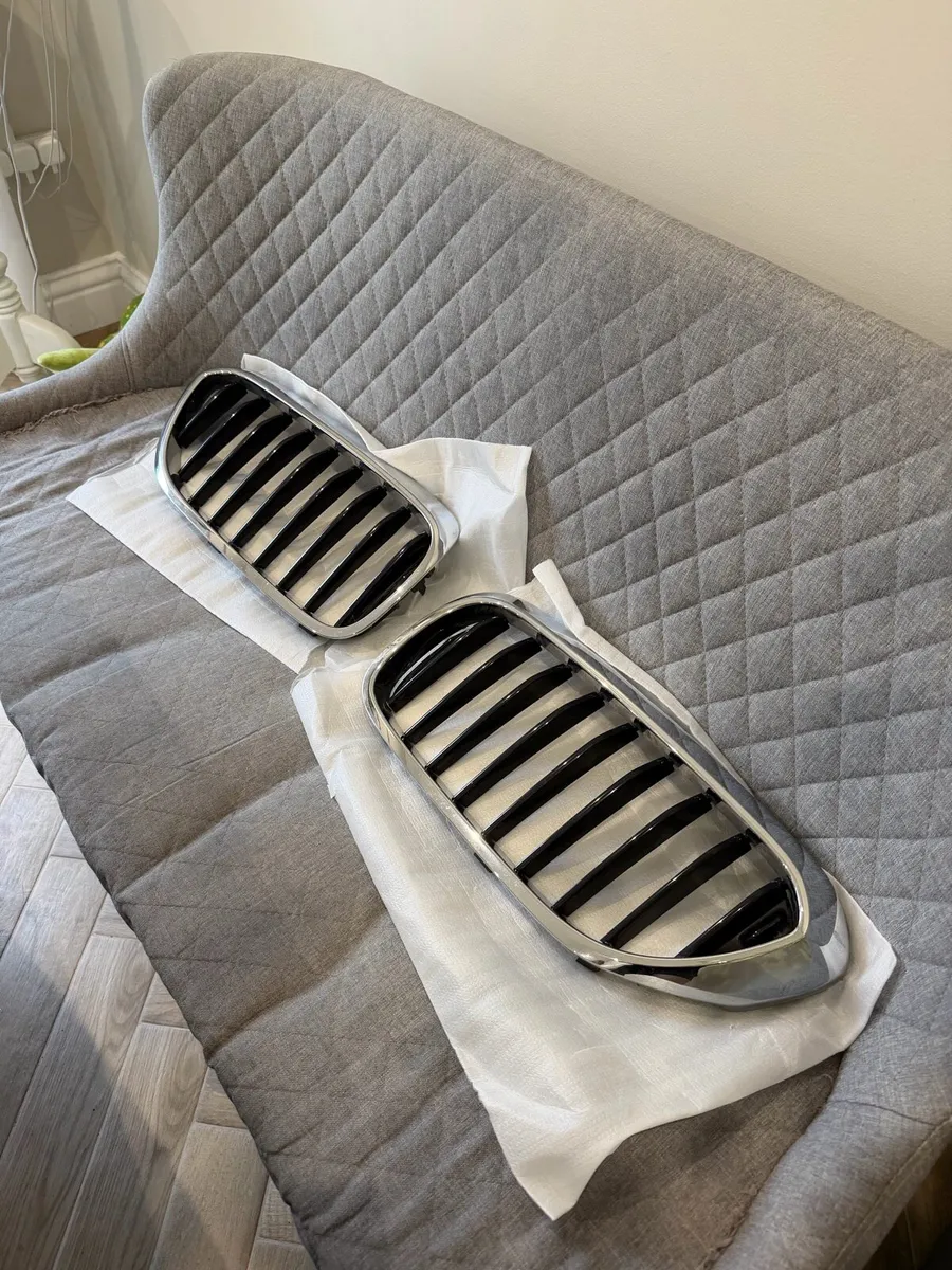 BMW g30/31 grill/kidneys - Image 1