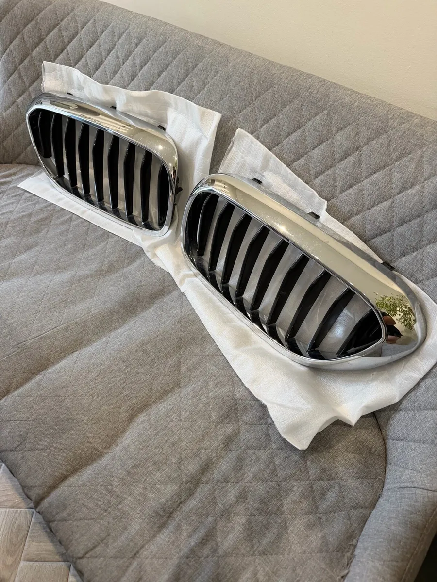 BMW g30/31 grill/kidneys - Image 2