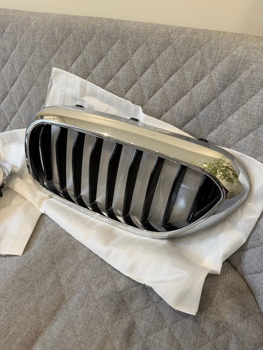 BMW g30/31 grill/kidneys - Image 4