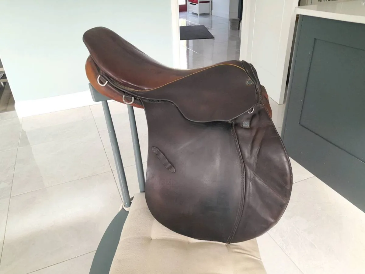 Saddle - Image 1
