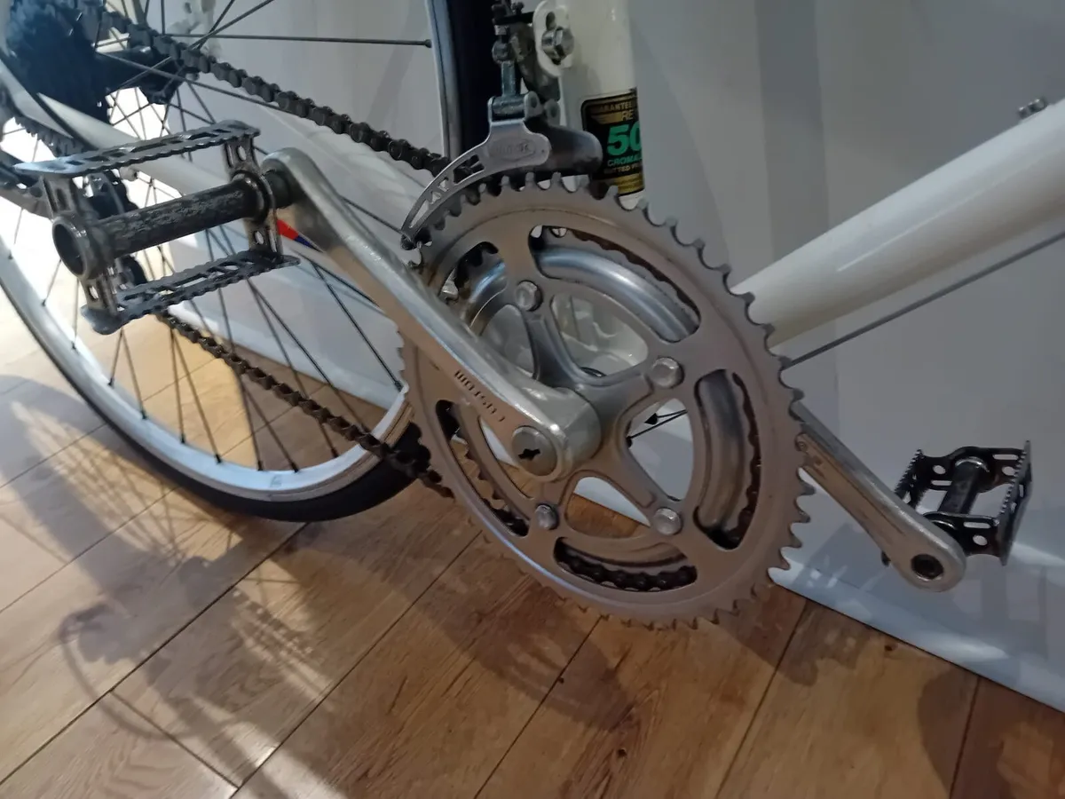 Raleigh Panasonic Reynolds - Image 3