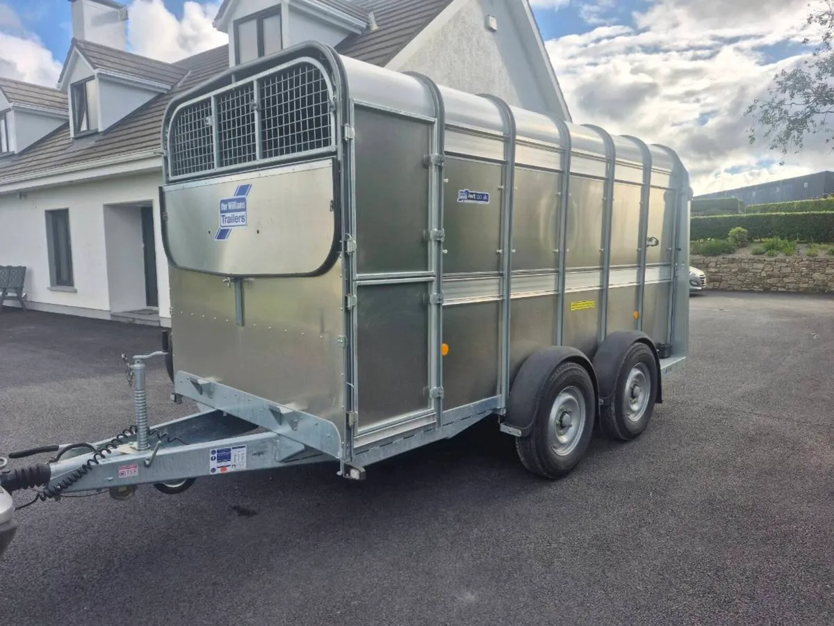 Ifor williams cattle trailer - Image 1
