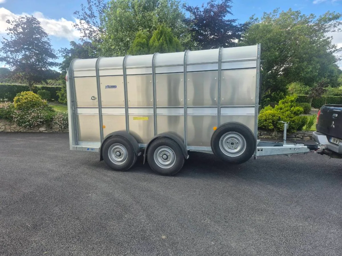 Ifor williams cattle trailer - Image 3