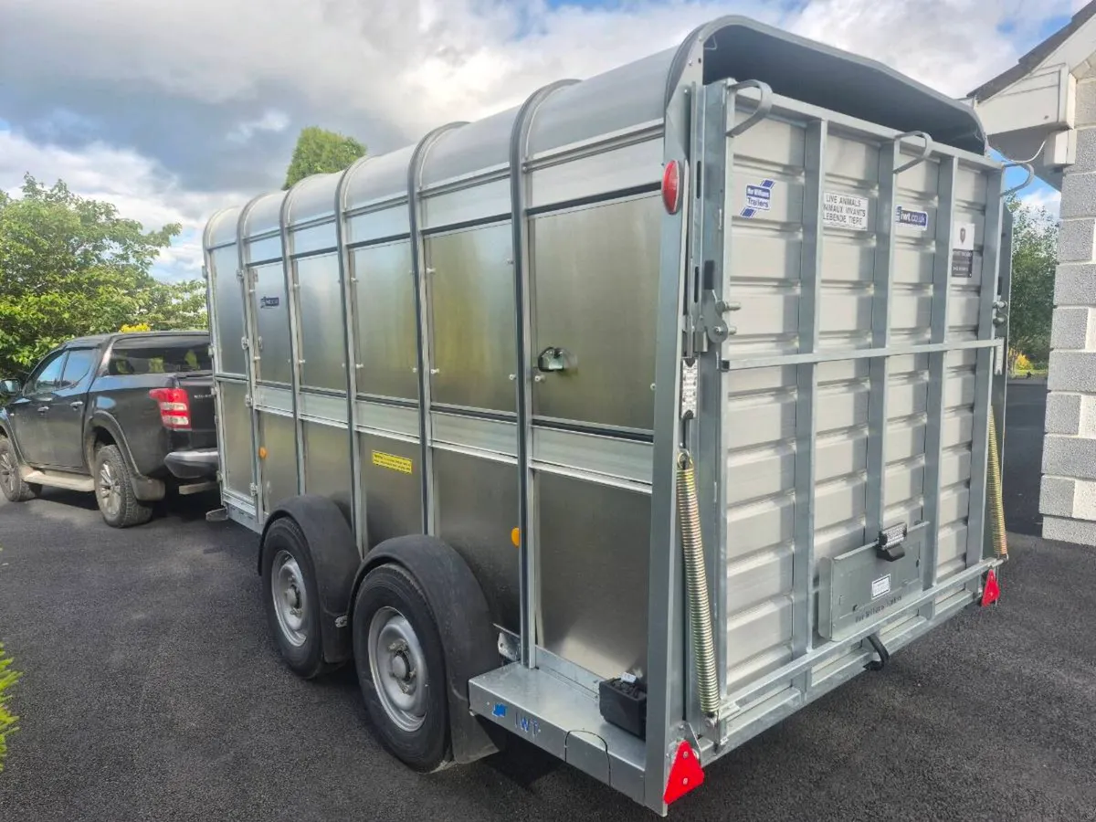 Ifor williams cattle trailer - Image 4