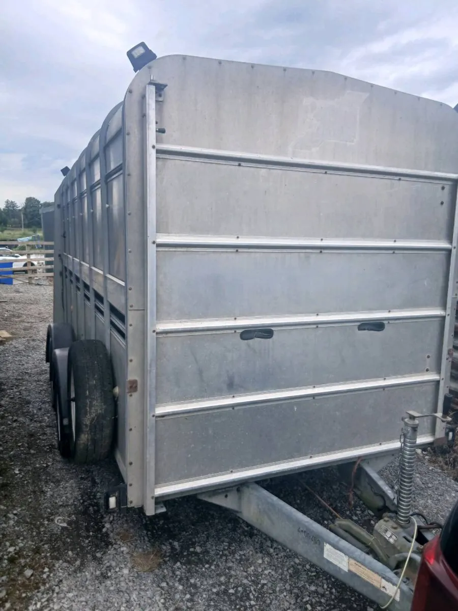 Iforwilliams 12by6 cattle trailercall 0868782672 - Image 2