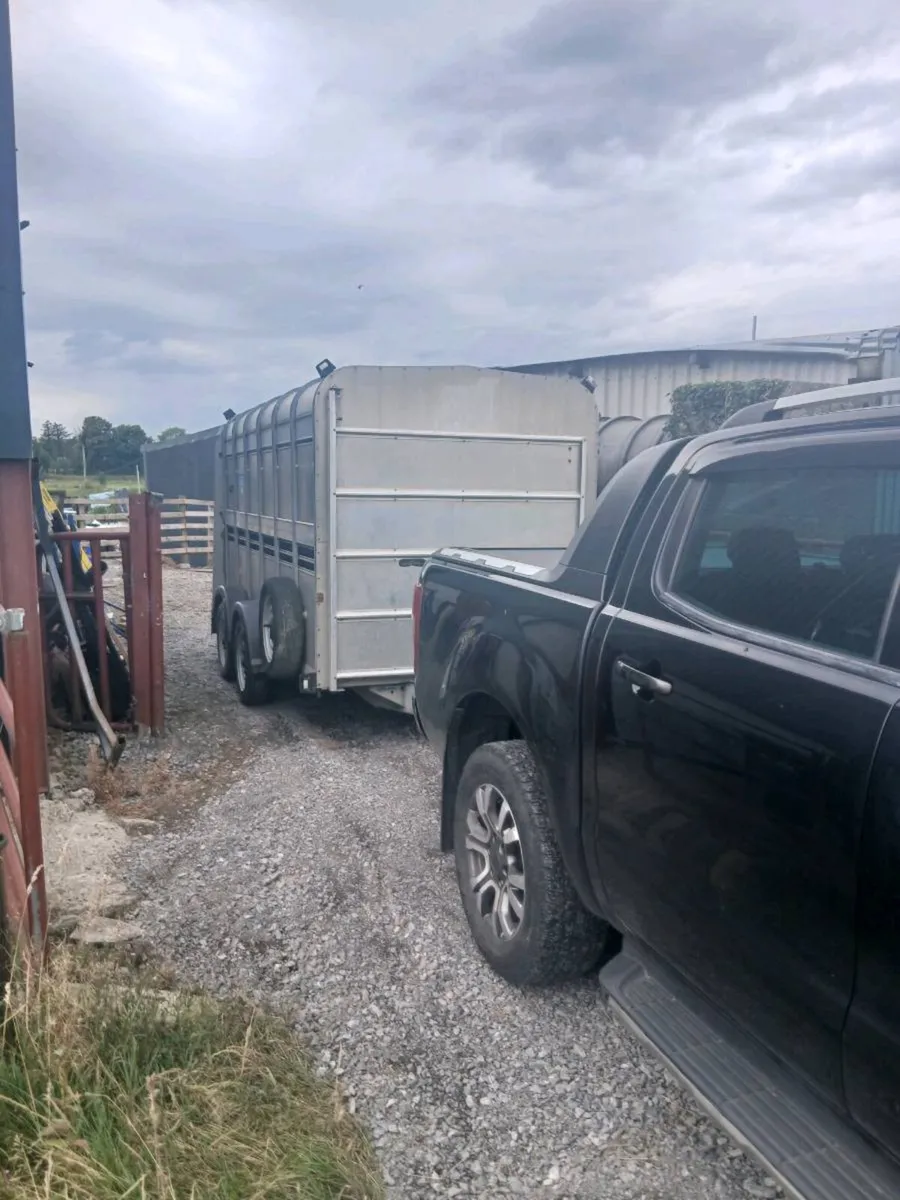 Iforwilliams 12by6 cattle trailercall 0868782672 - Image 3