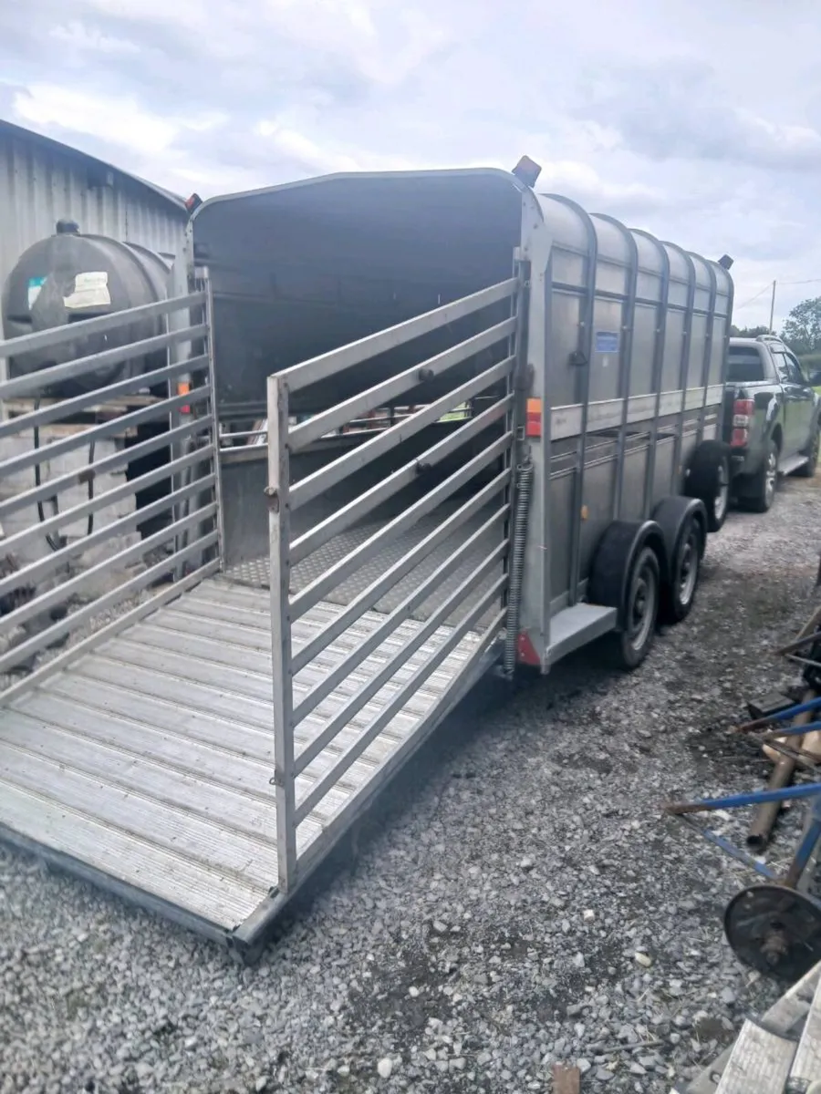 Iforwilliams 12by6 cattle trailercall 0868782672 - Image 4