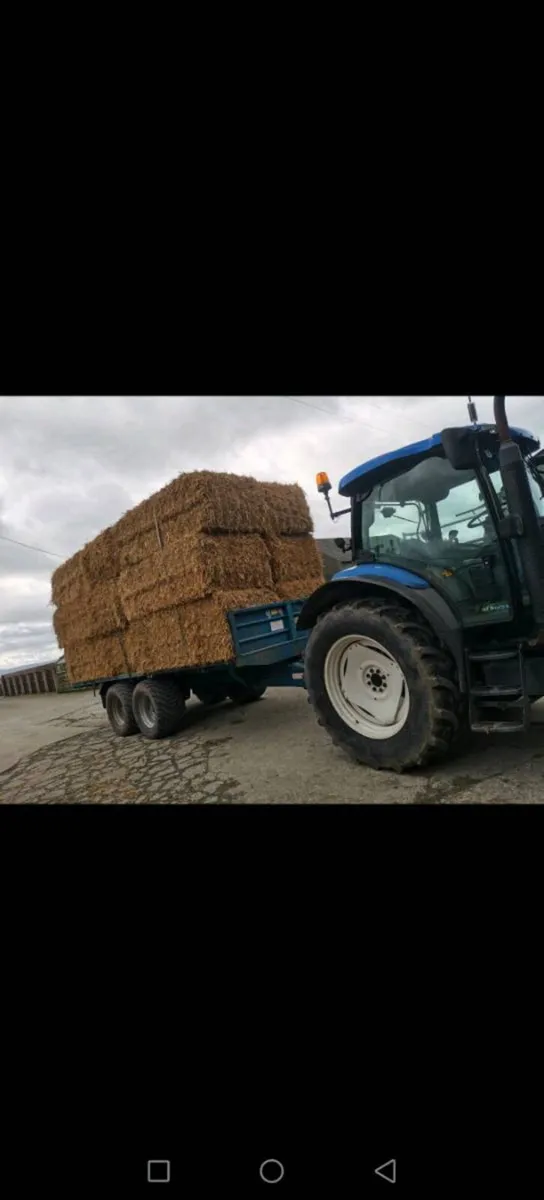 Kane 12 ton - Image 4