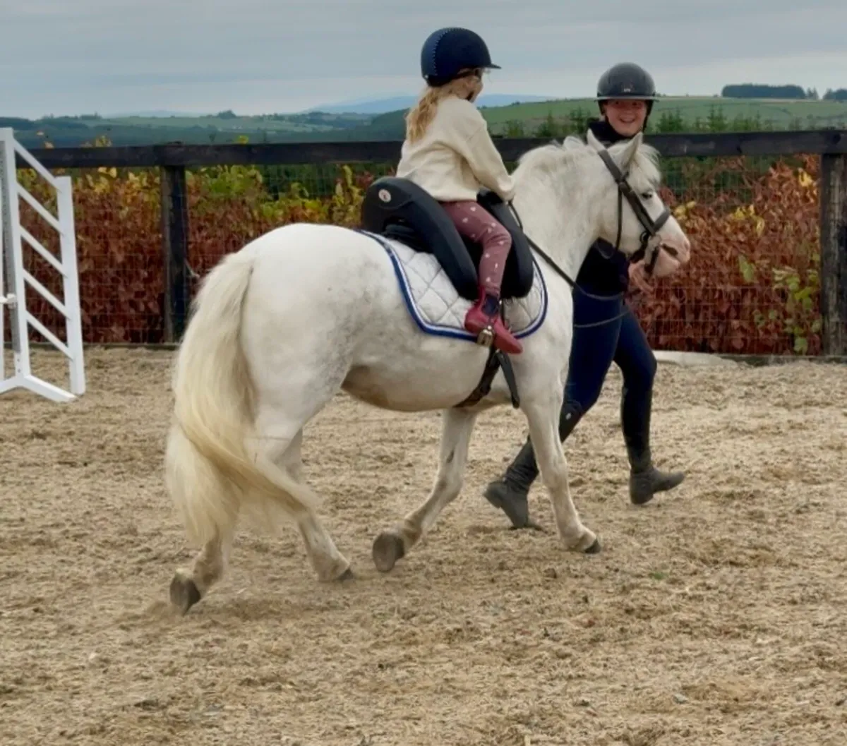 Super cute kind and safe 126cm gelding - Image 4