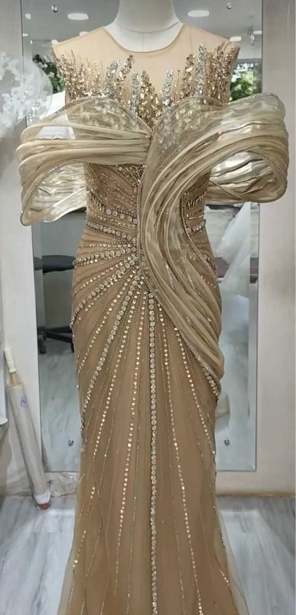 Luxury occasion Gown - Image 1
