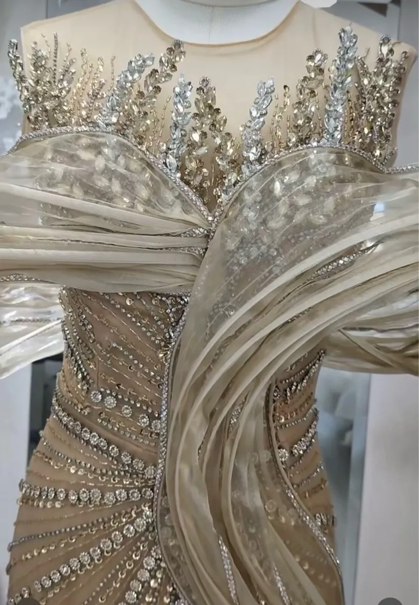 Luxury occasion Gown - Image 2