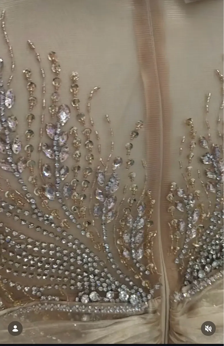 Luxury occasion Gown - Image 4