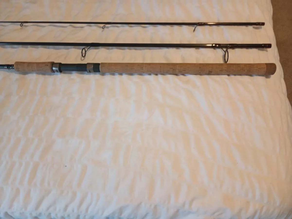Wychwood true bait 12 foot 3 piece 30-60gram - Image 1