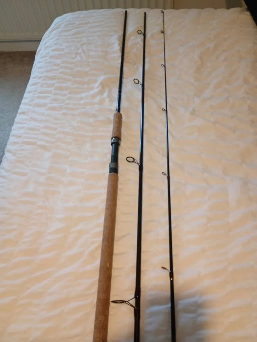 Wychwood true bait 12 foot 3 piece 30-60gram - Image 3