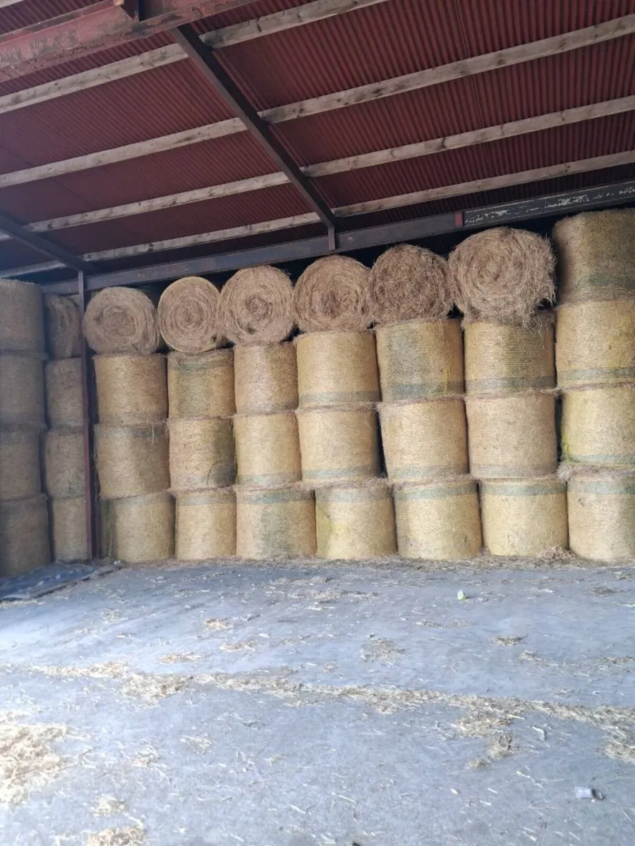 Hay and straw for sale - Image 1