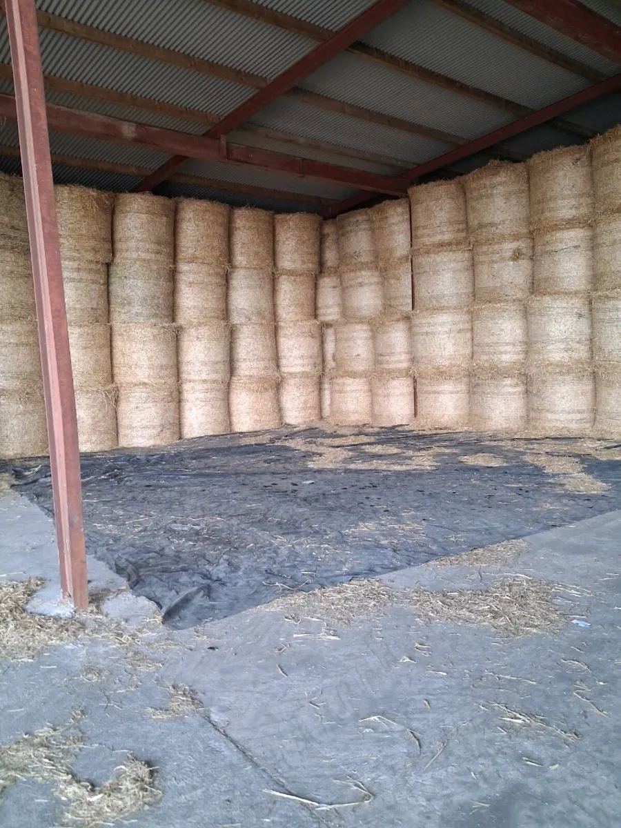 Hay and straw for sale - Image 2