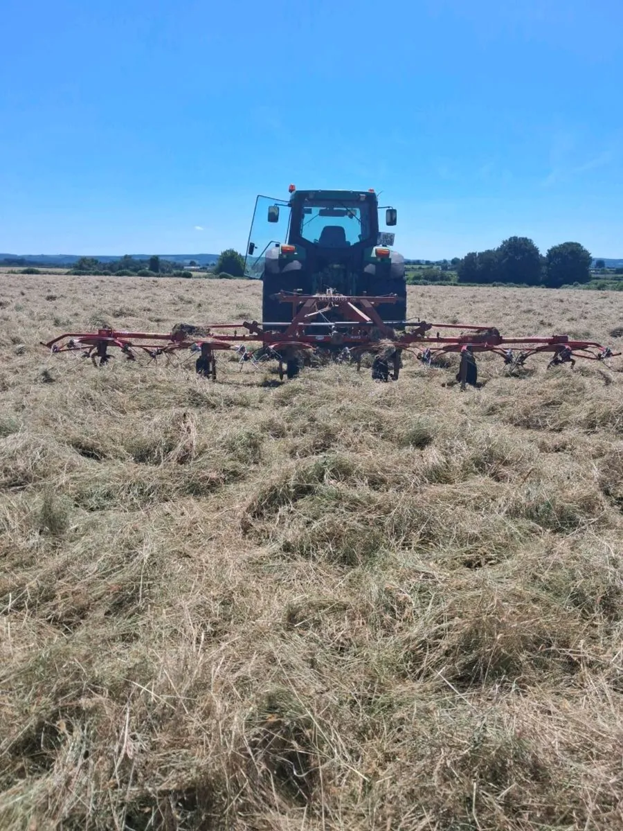 Hay and straw for sale - Image 4