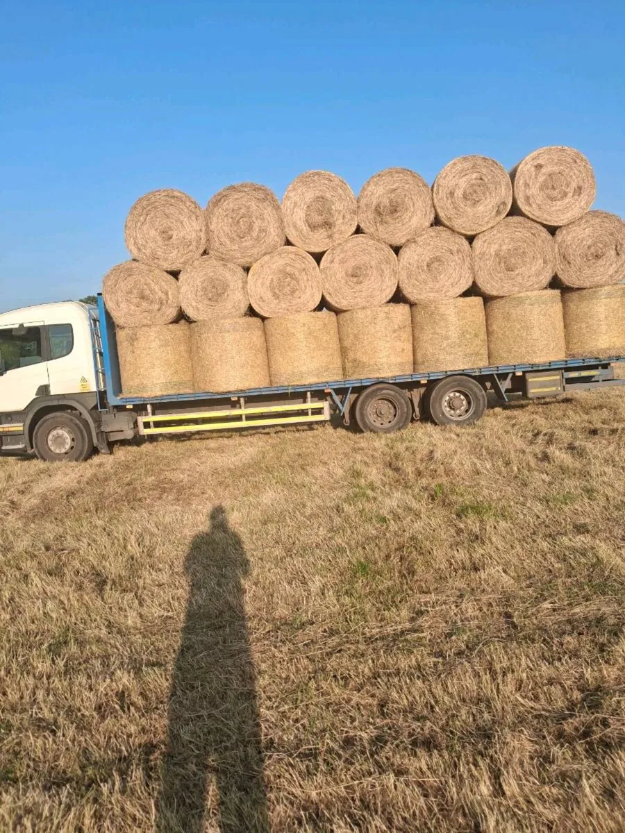 Hay and straw for sale - Image 3